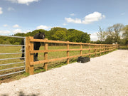 entry level horse arena package in action 
